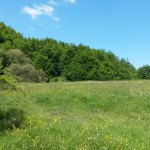 Valle Staffora - Pascoli in Alta Valle Staffora